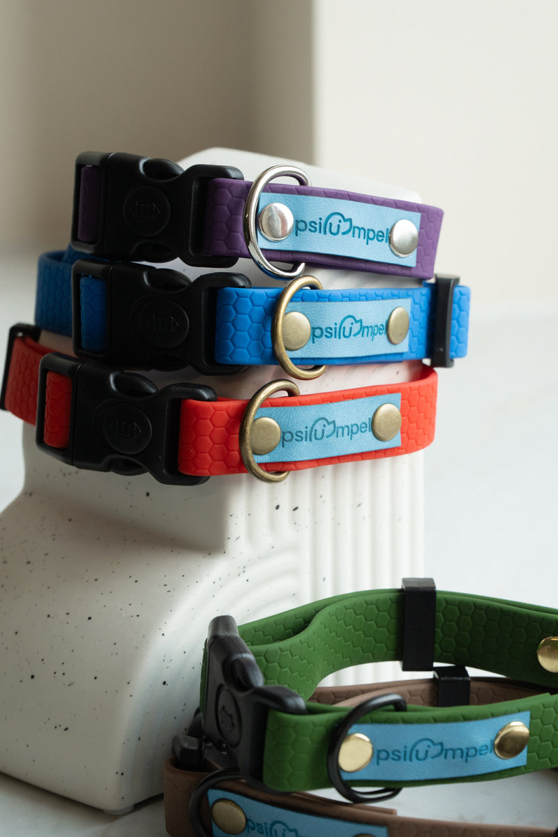 OBROŻE Z KLAMRĄ-Psiumpel