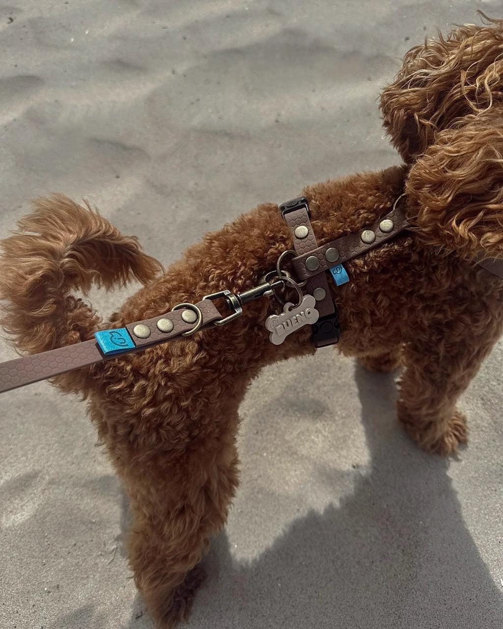 Wodoodporne szelki guard - Psiumpel