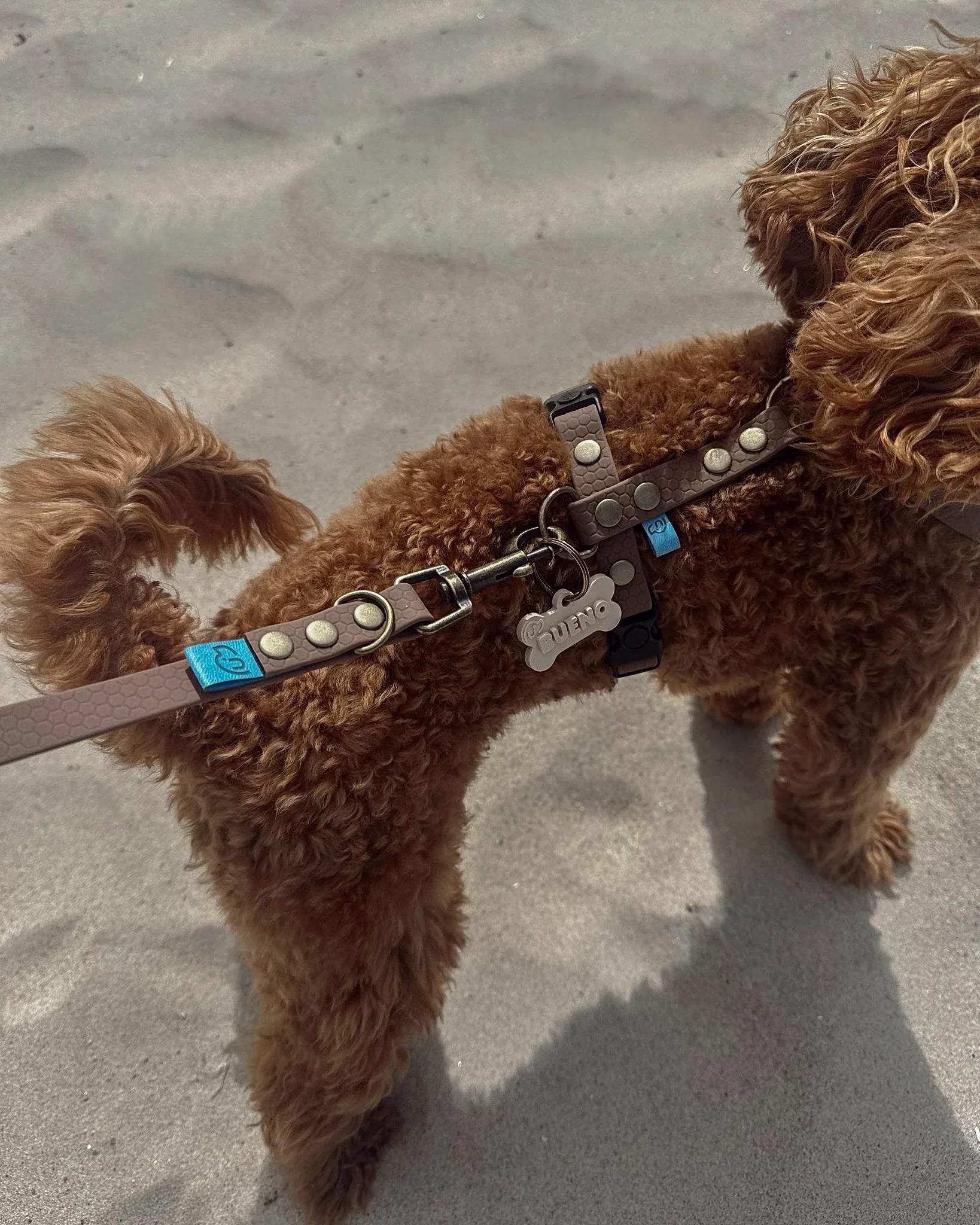 Wodoodporne szelki guard - Psiumpel