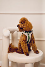 Bezuciskowe szelki guard - COZY