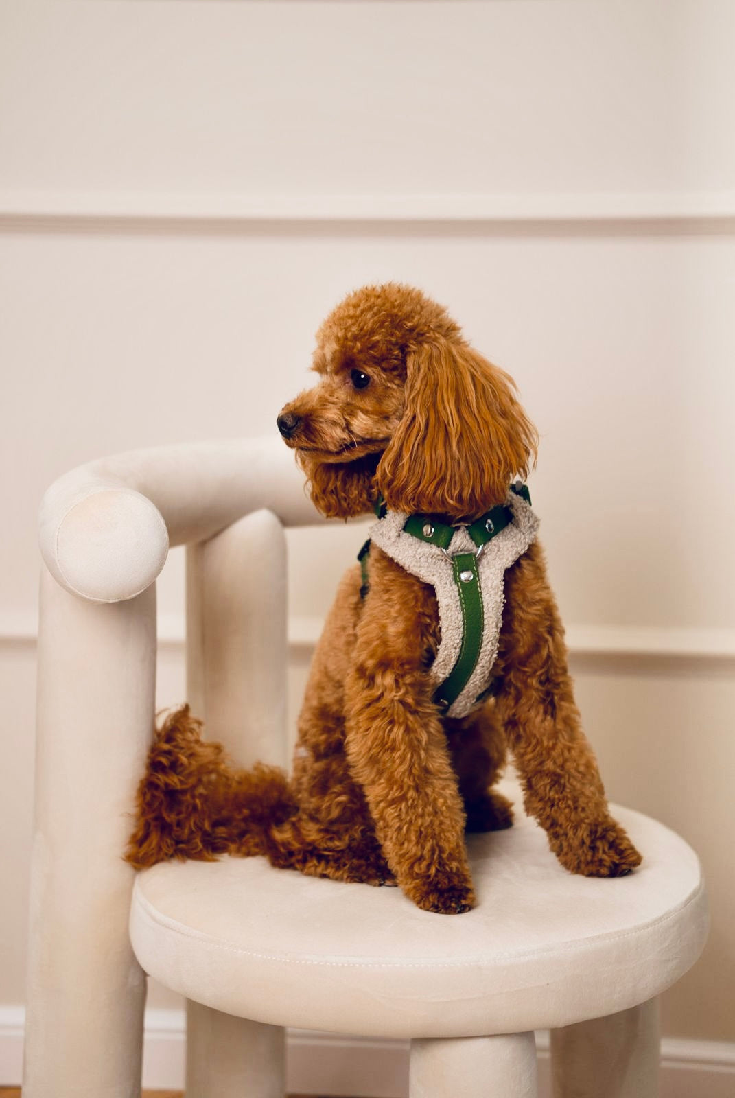 Bezuciskowe szelki guard - COZY