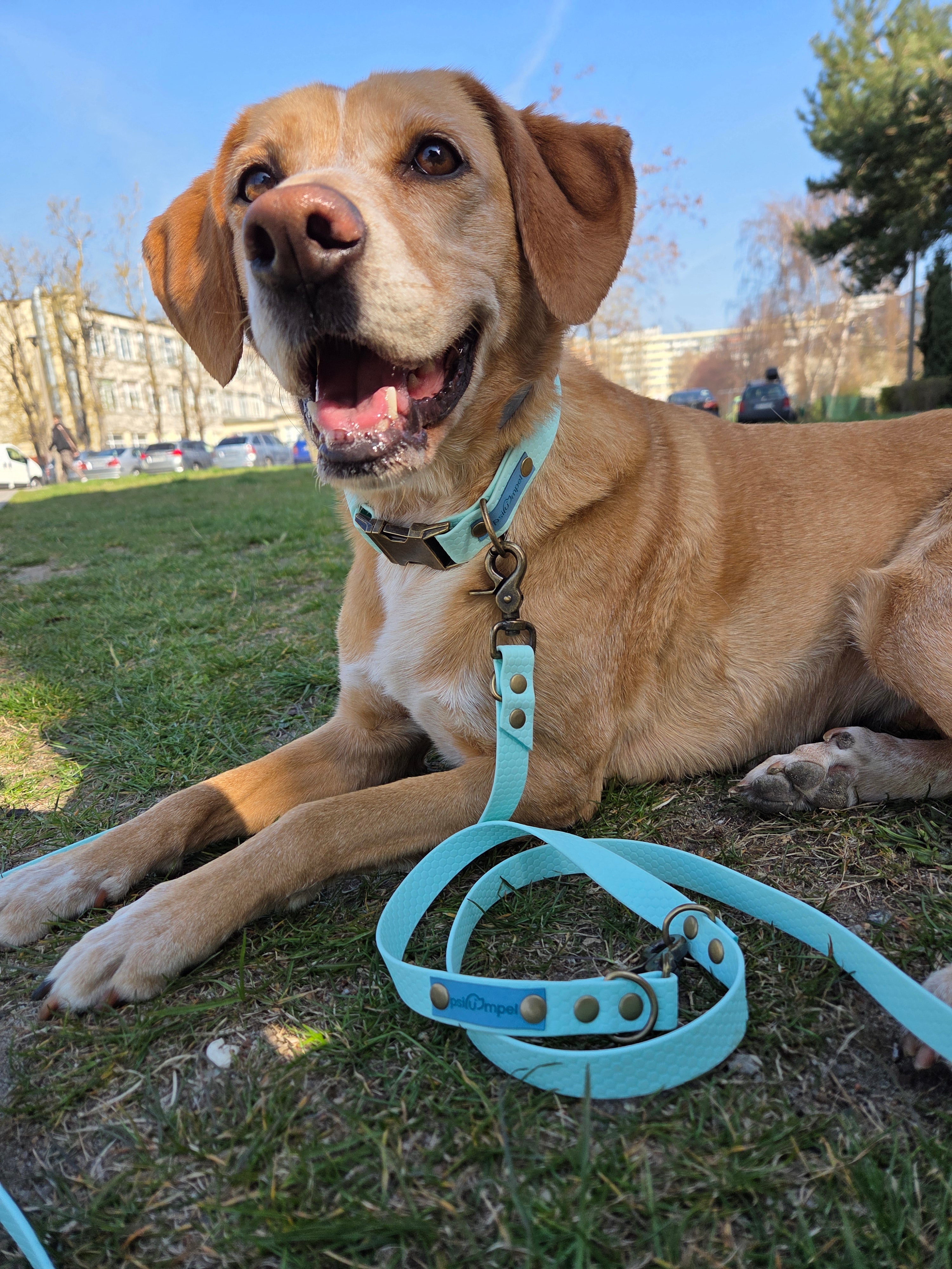 Wodoodporna obroża z klamrą