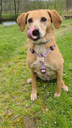 Wodoodporne szelki guard