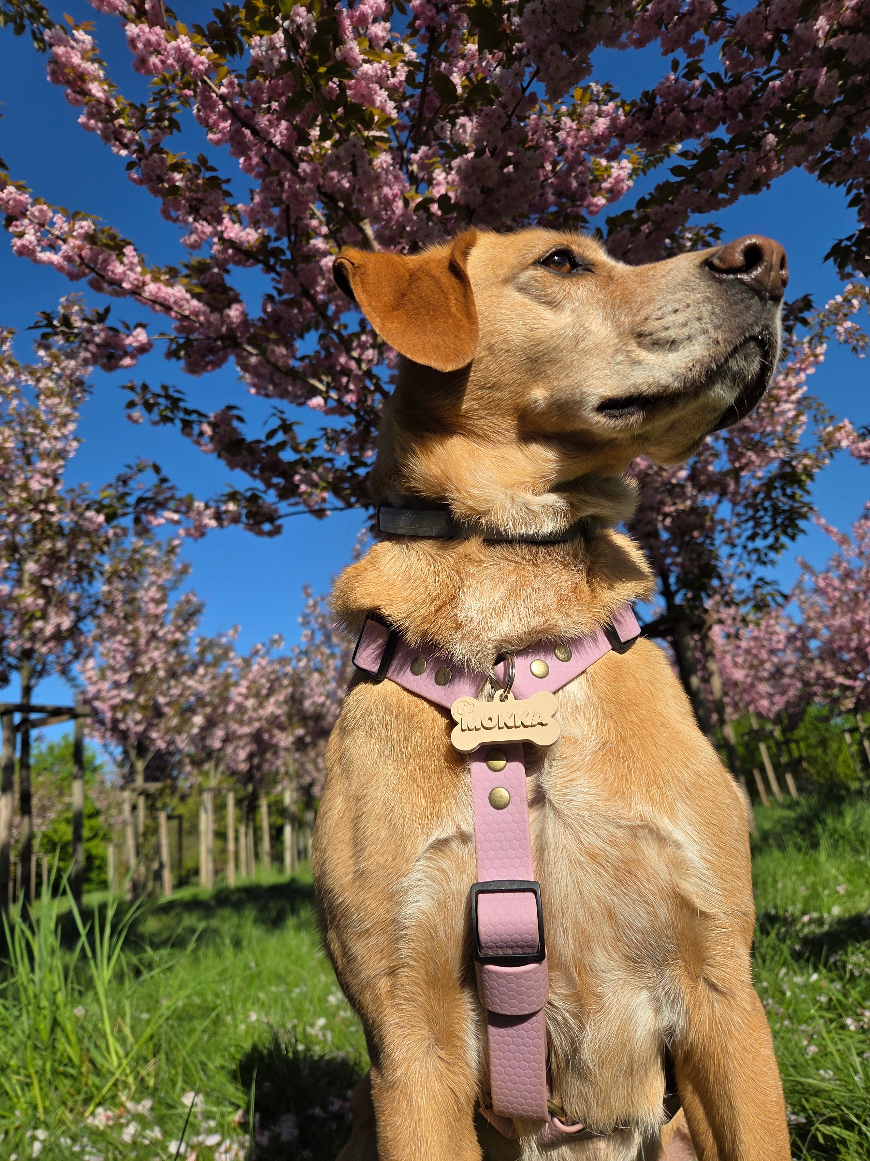 Wodoodporne szelki guard