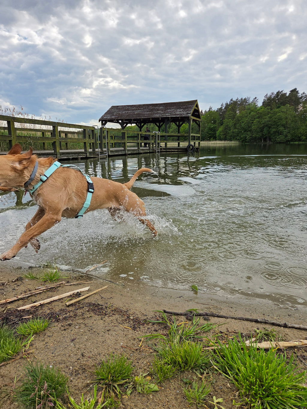 Wodoodporne szelki guard