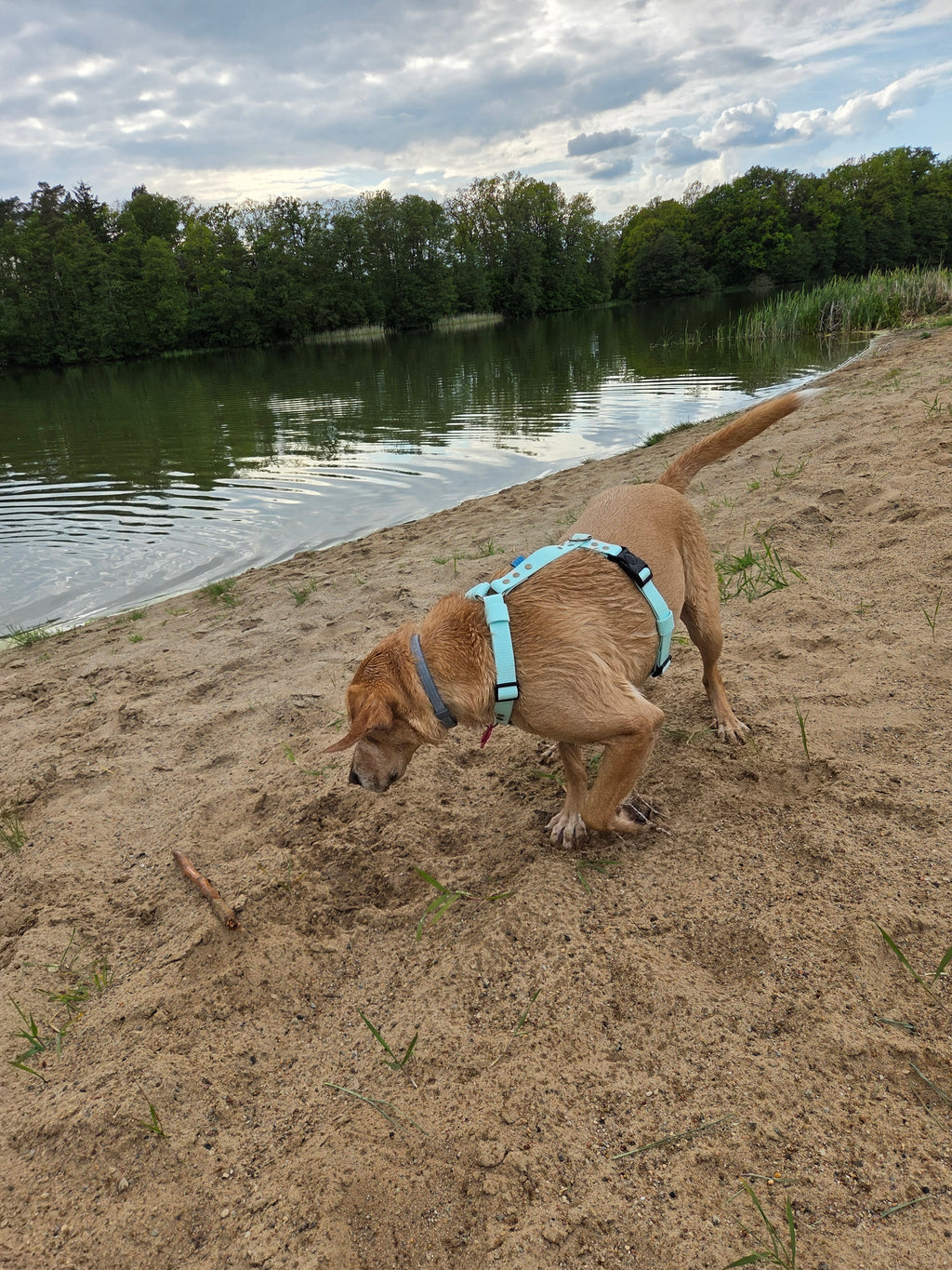 Wodoodporne szelki guard