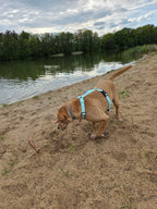 Wodoodporne szelki guard