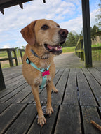 Wodoodporne szelki guard