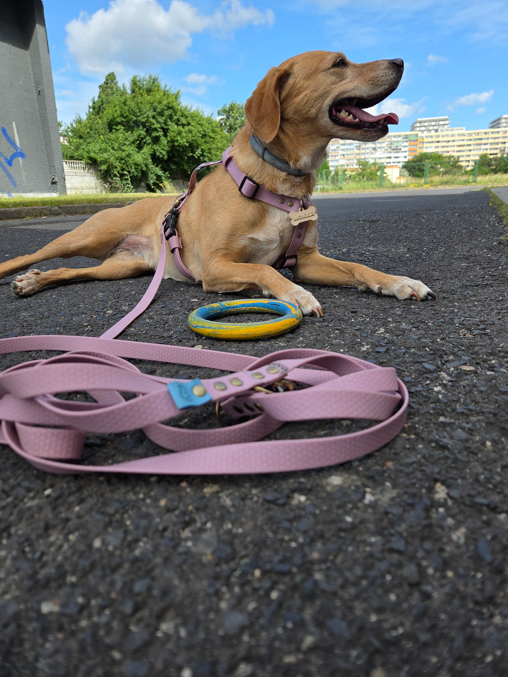 Wodoodporne szelki guard