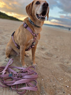 Wodoodporne szelki guard