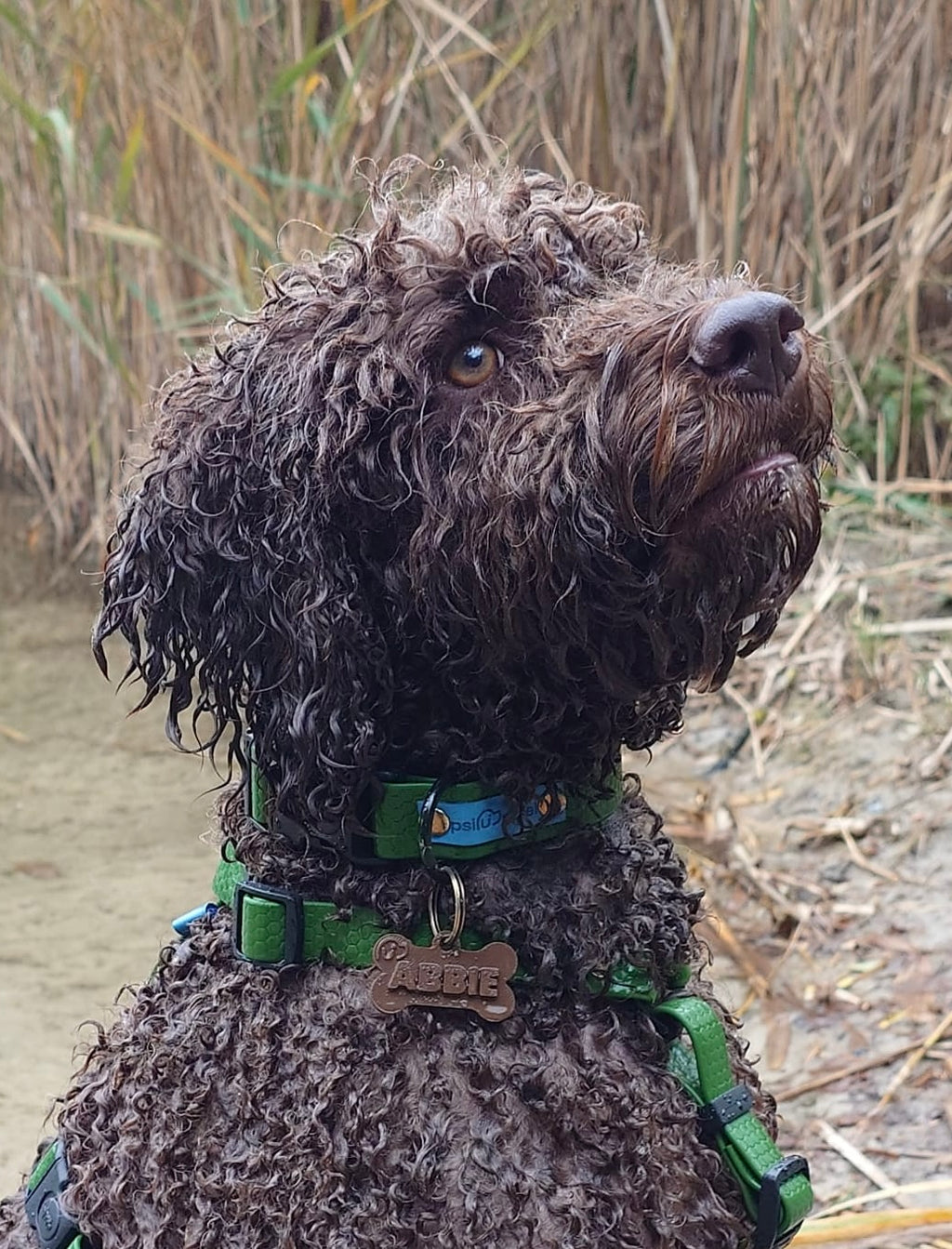 Adresówka z tworzywa