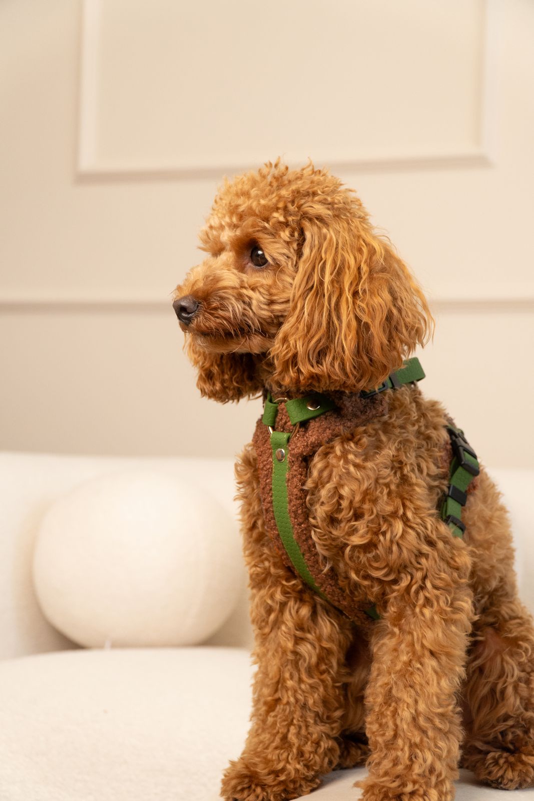 Szelki bezuciskowe guard COZY Psiumpel, dla Psa i Ciebie