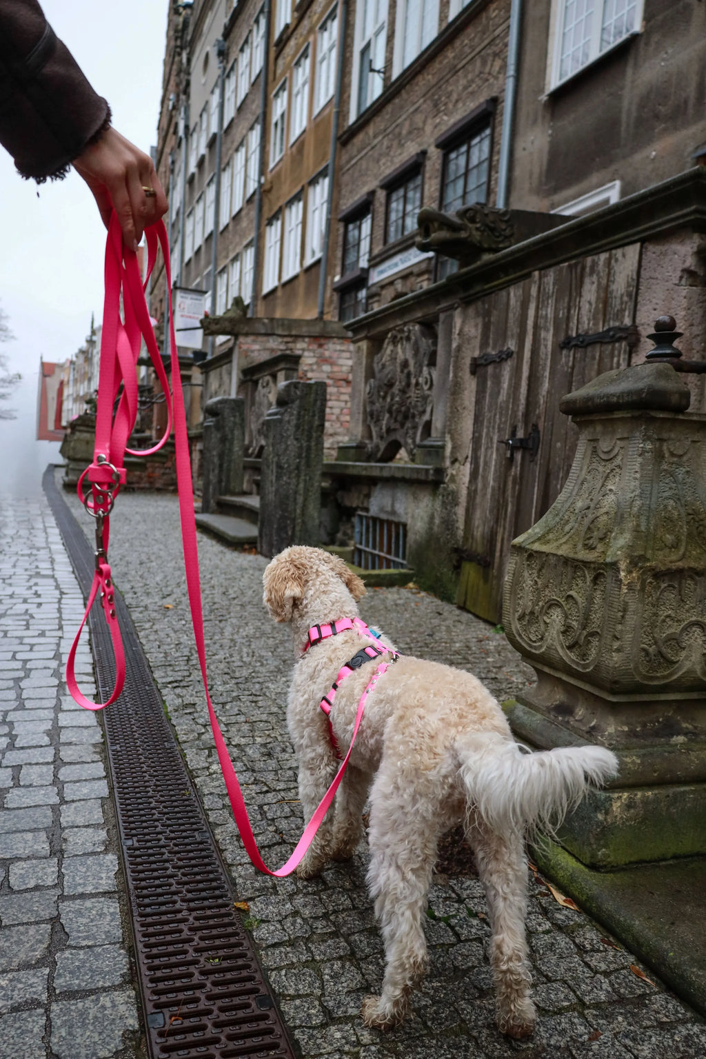 Smycz przepinana - Psiumpel