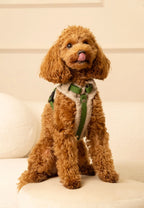 Bezuciskowe szelki guard - COZY - Psiumpel