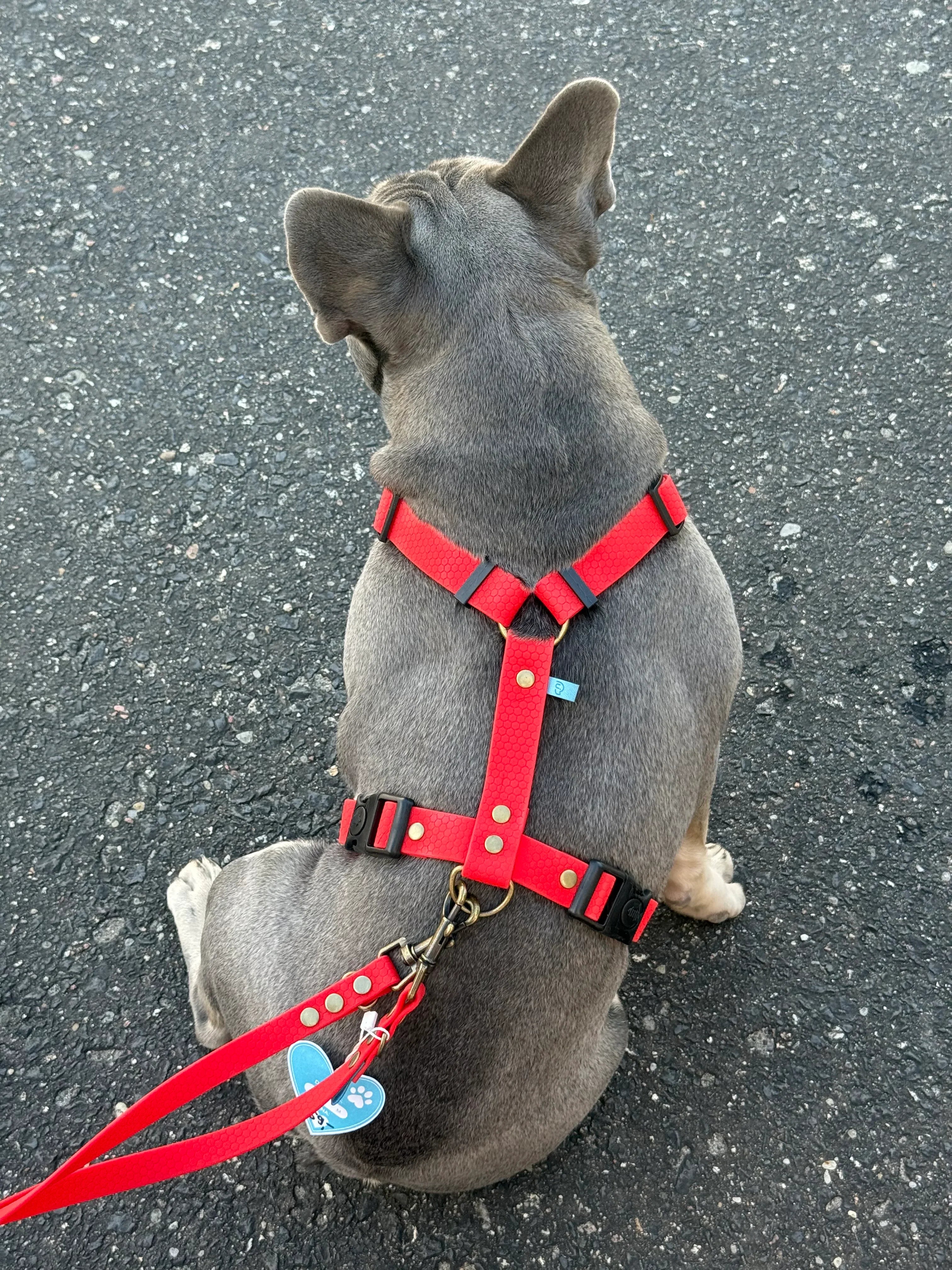 Wodoodporne szelki guard - Psiumpel