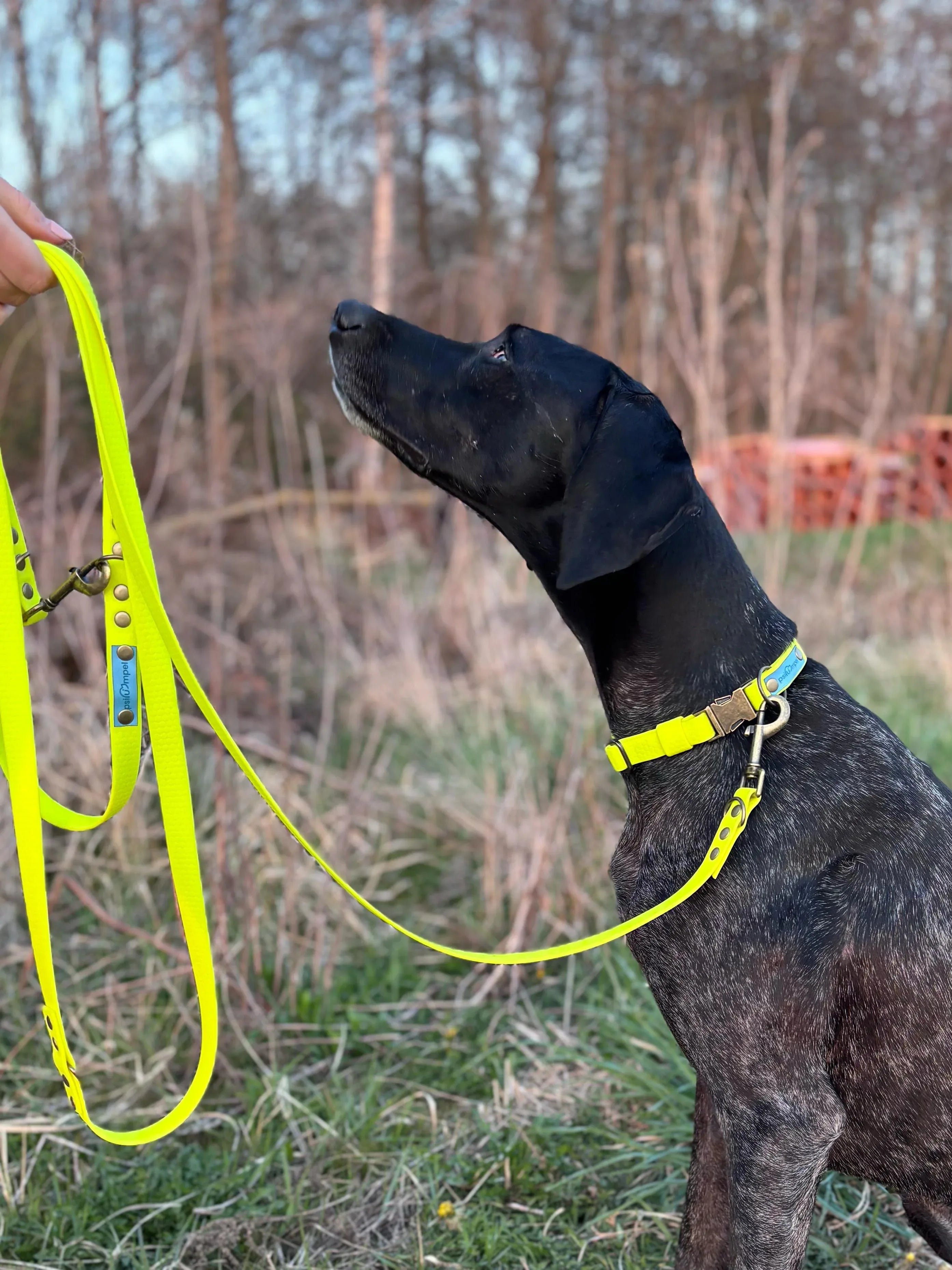 Linka treningowa - Psiumpel