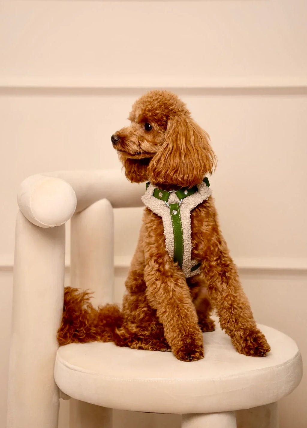 Bezuciskowe szelki guard - COZY - Psiumpel