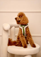 Bezuciskowe szelki guard - COZY - Psiumpel