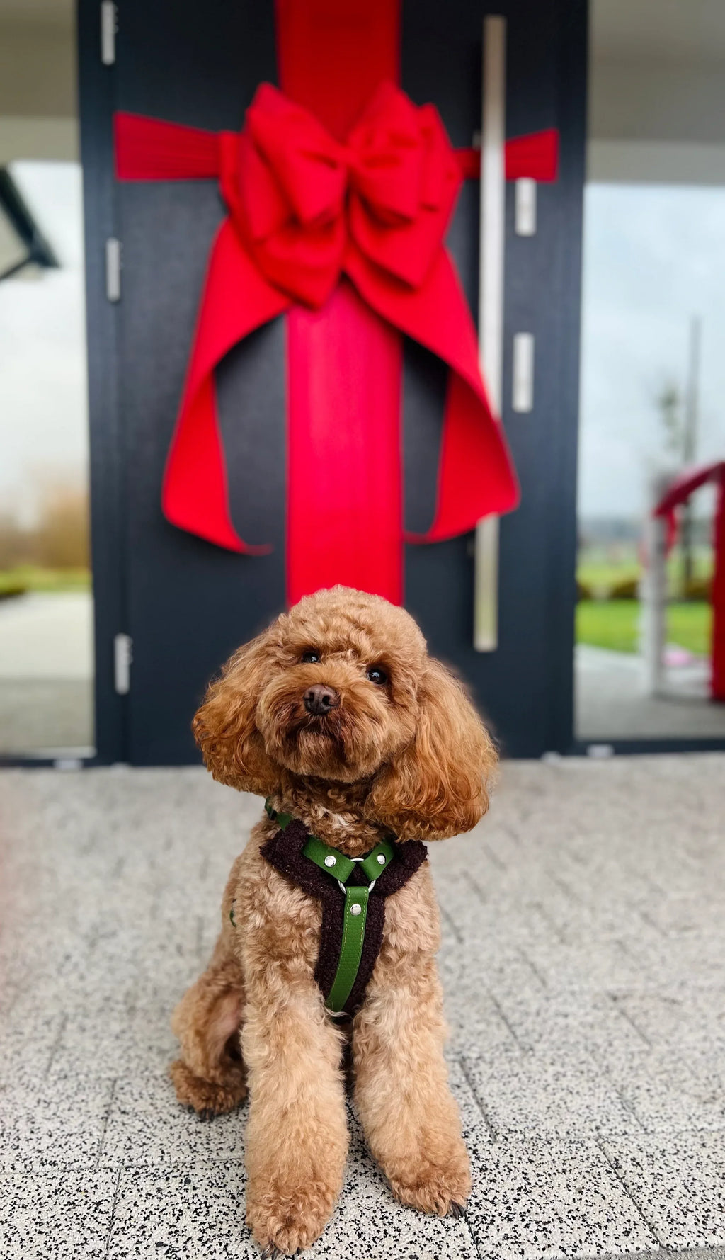 Bezuciskowe szelki guard - COZY - Psiumpel