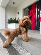 Bezuciskowe szelki guard - COZY - Psiumpel