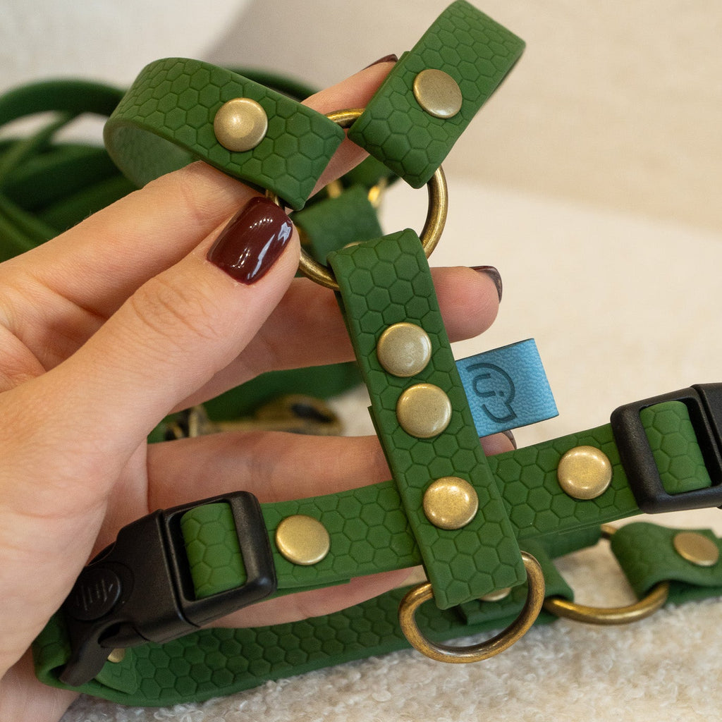 Szelki wodoodporne typu guard Psiumpel, dla Psa i Ciebie