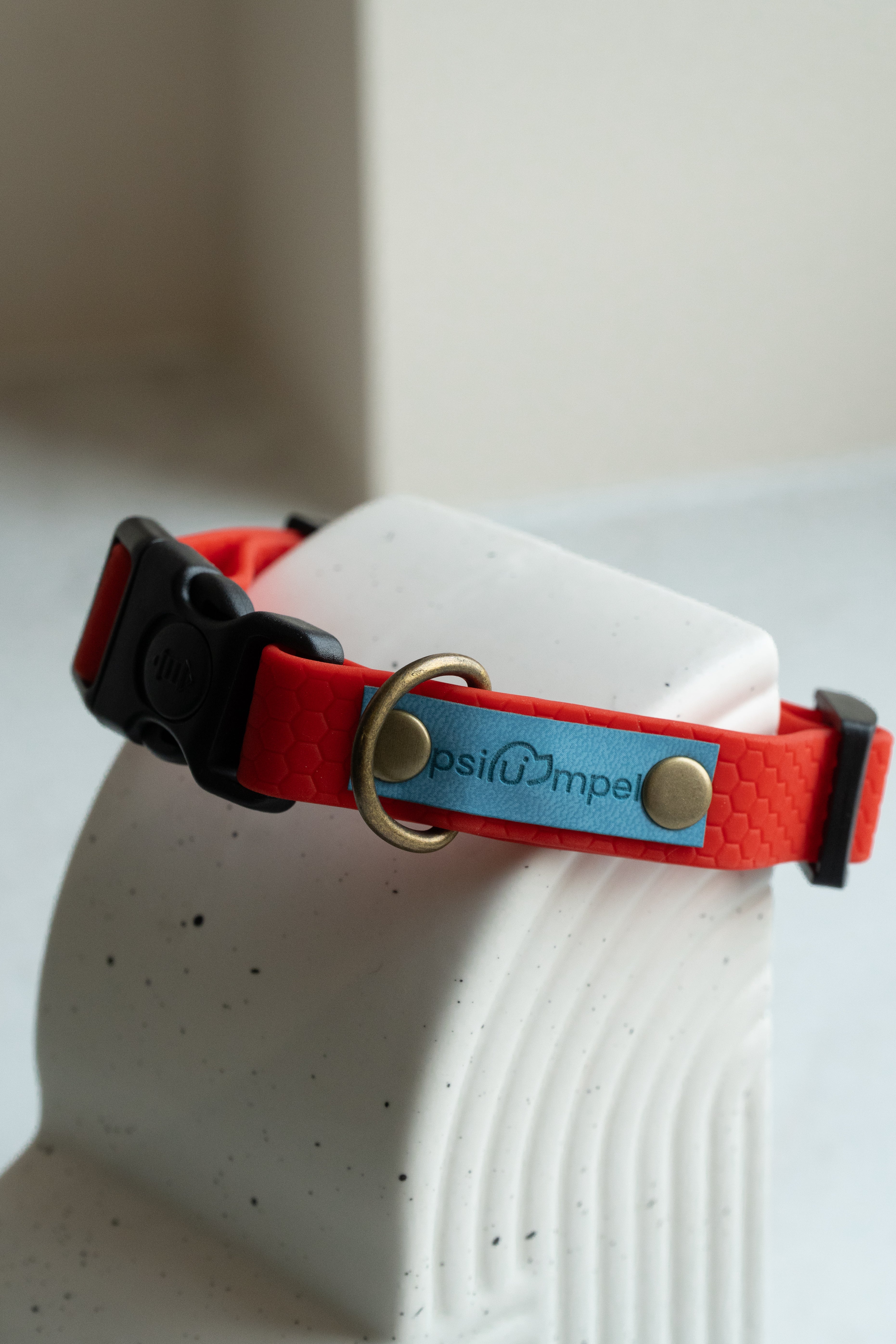 dodać zdjęcia - Obroża z klamrą Psiumpel, dla Psa i Ciebie