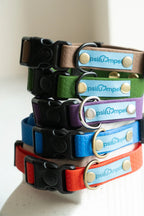 Wodoodporna obroża z klamrą - Psiumpel