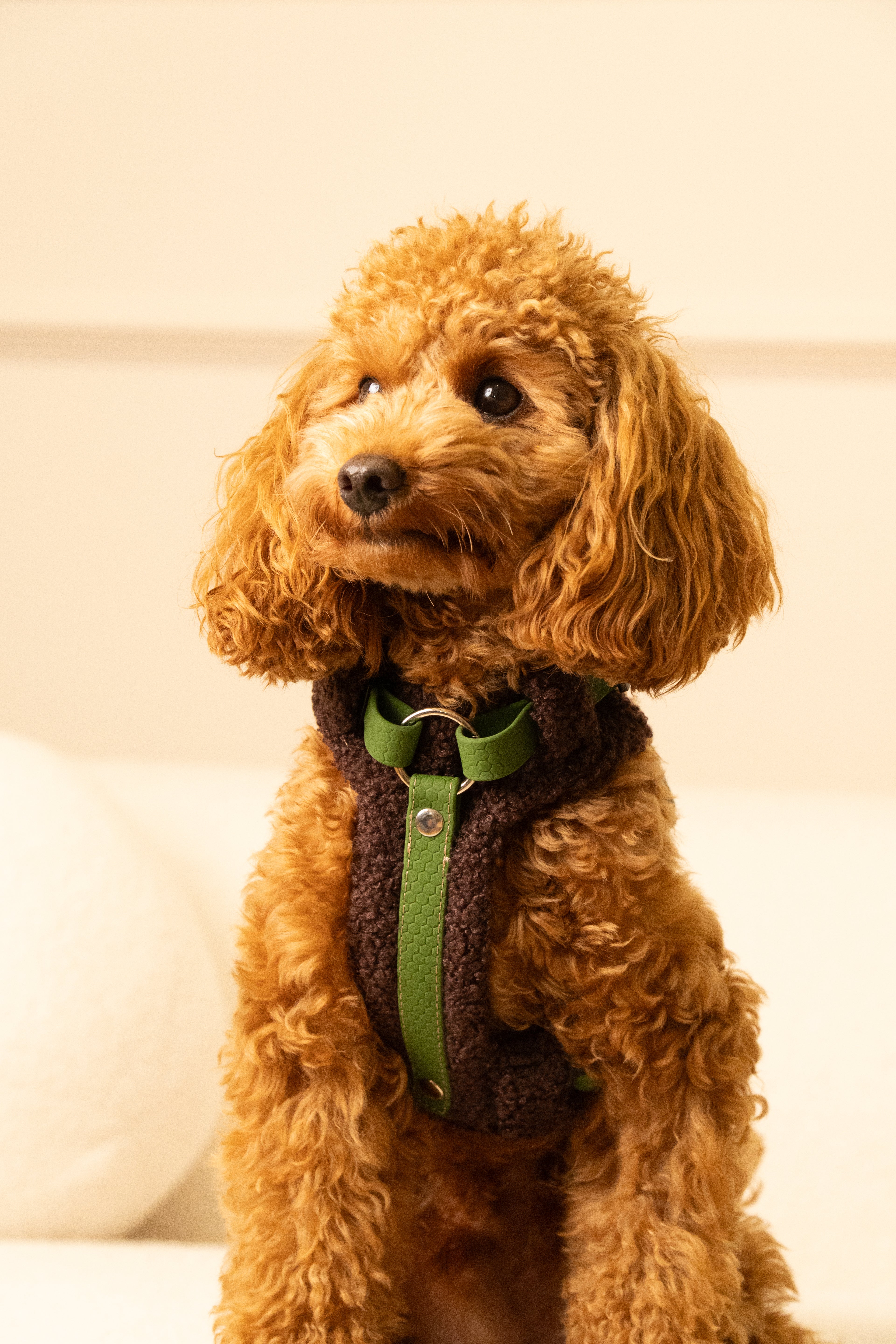 Szelki bezuciskowe guard COZY Psiumpel, dla Psa i Ciebie