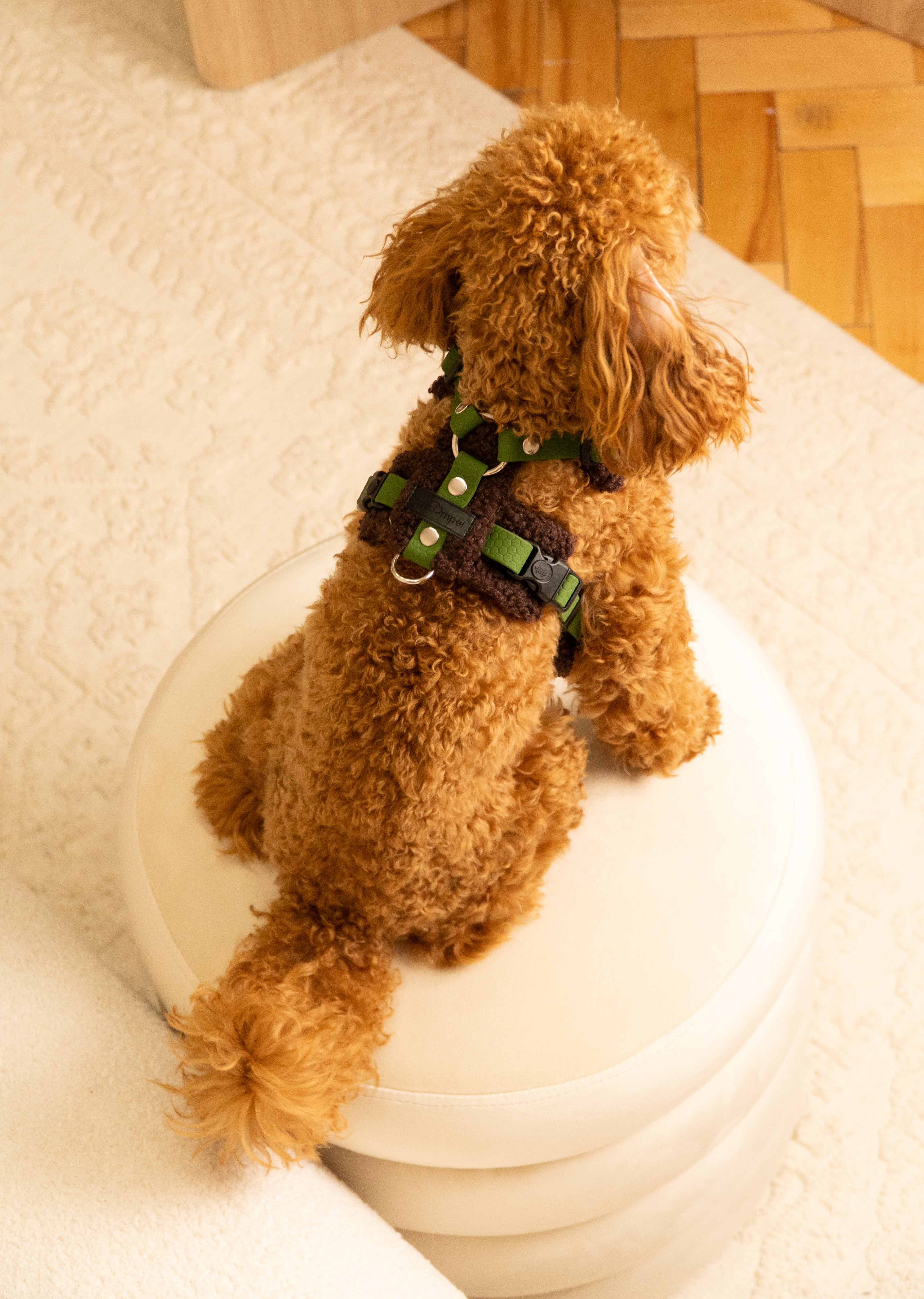 Szelki bezuciskowe guard COZY Psiumpel, dla Psa i Ciebie