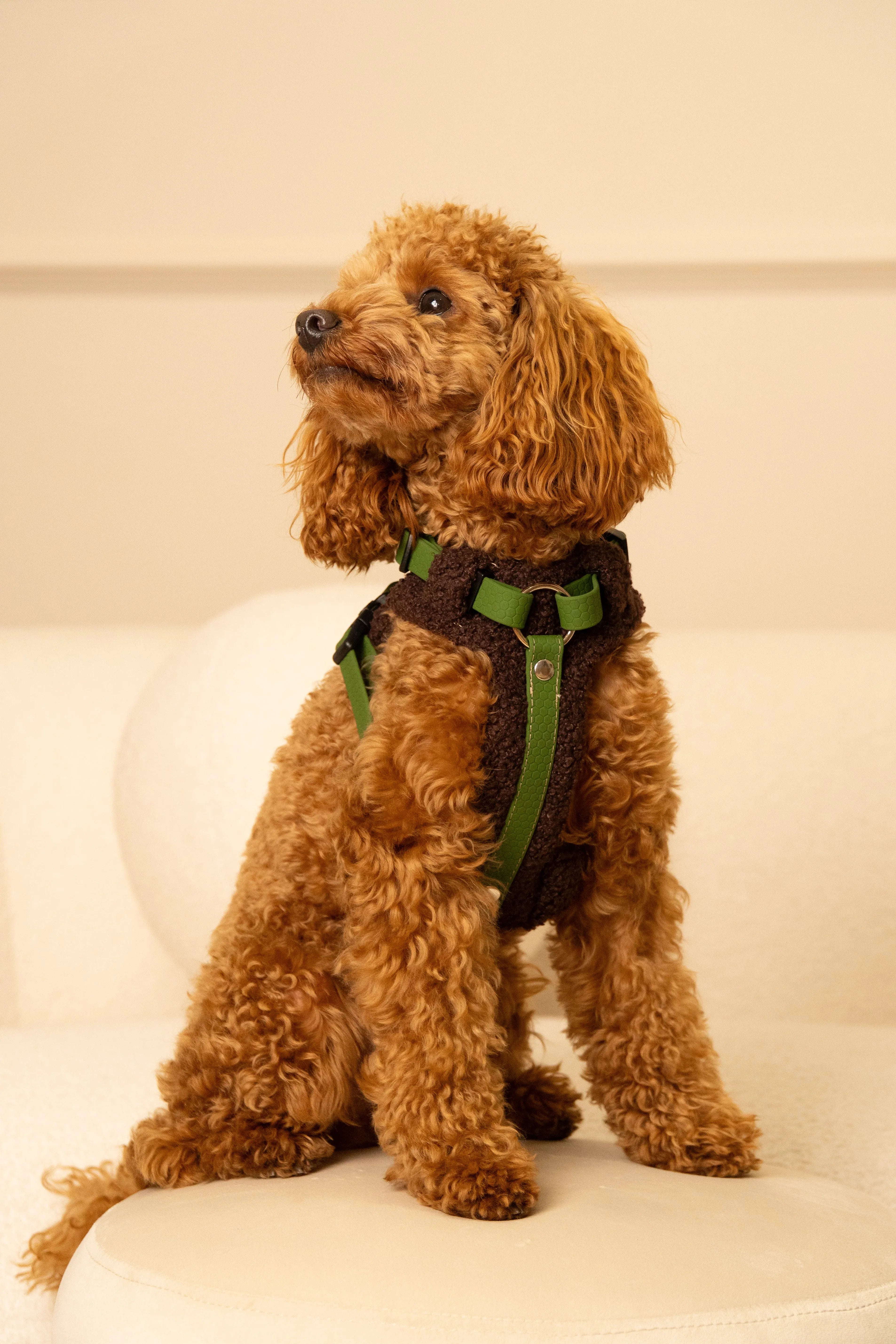 Bezuciskowe szelki guard - COZY - Psiumpel