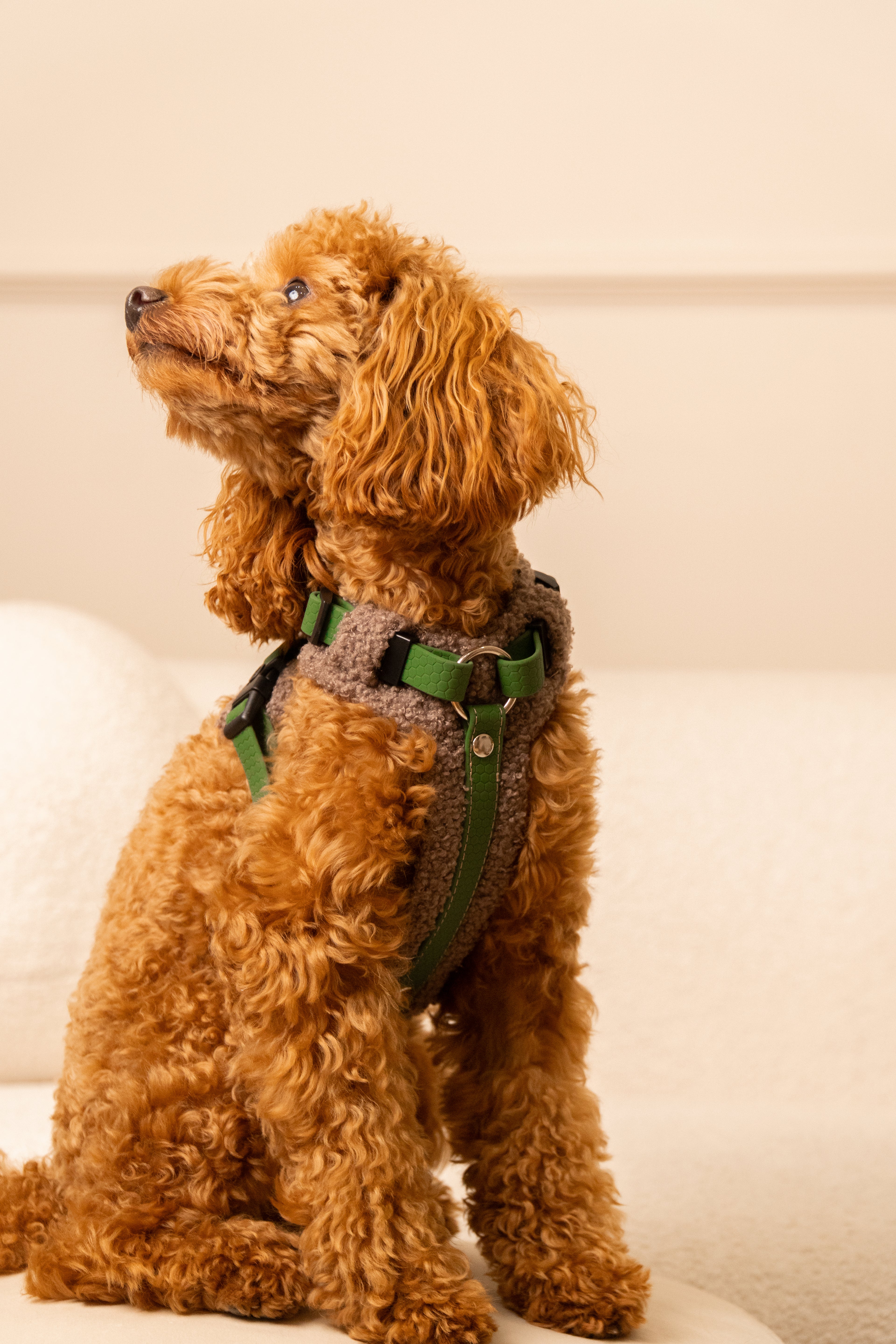 Szelki bezuciskowe guard COZY Psiumpel, dla Psa i Ciebie