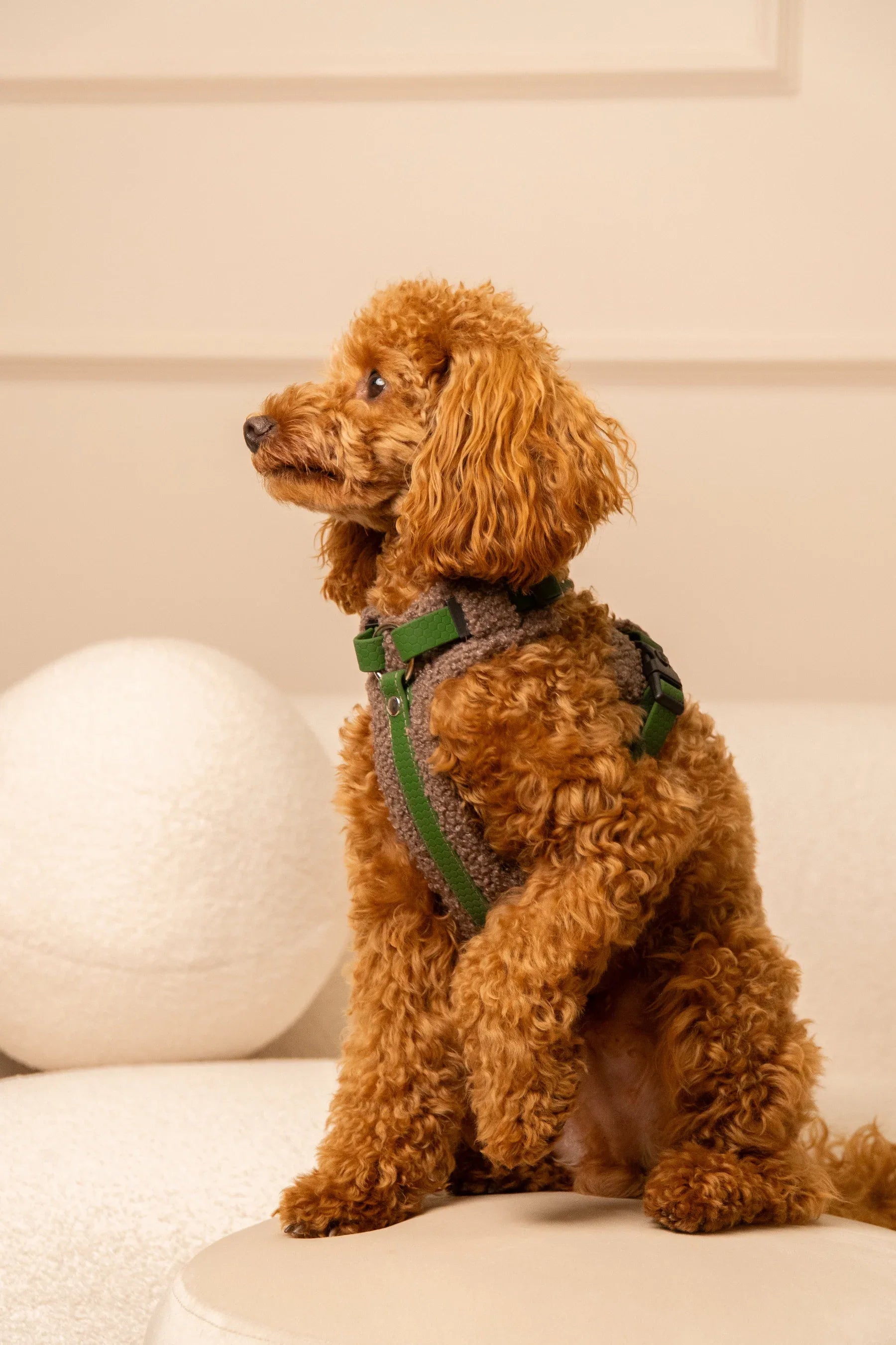 Bezuciskowe szelki guard - COZY - Psiumpel