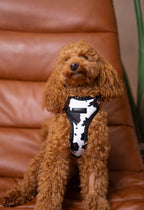 Bezuciskowe szelki guard - WILD