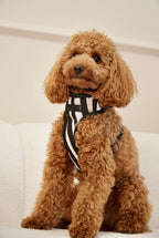 Szelki bezuciskowe guard WILD Psiumpel, dla Psa i Ciebie