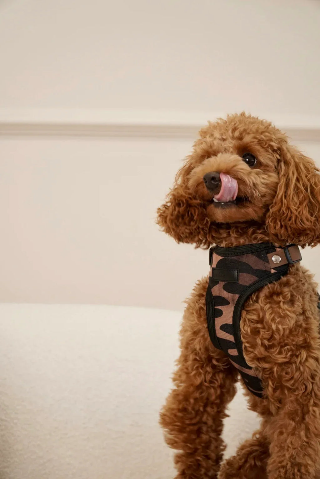 Bezuciskowe szelki guard - WILD - Psiumpel