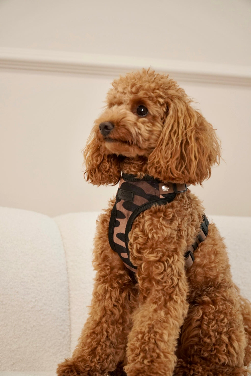 Szelki bezuciskowe guard WILD Psiumpel, dla Psa i Ciebie