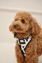 Szelki bezuciskowe guard WILD Psiumpel, dla Psa i Ciebie