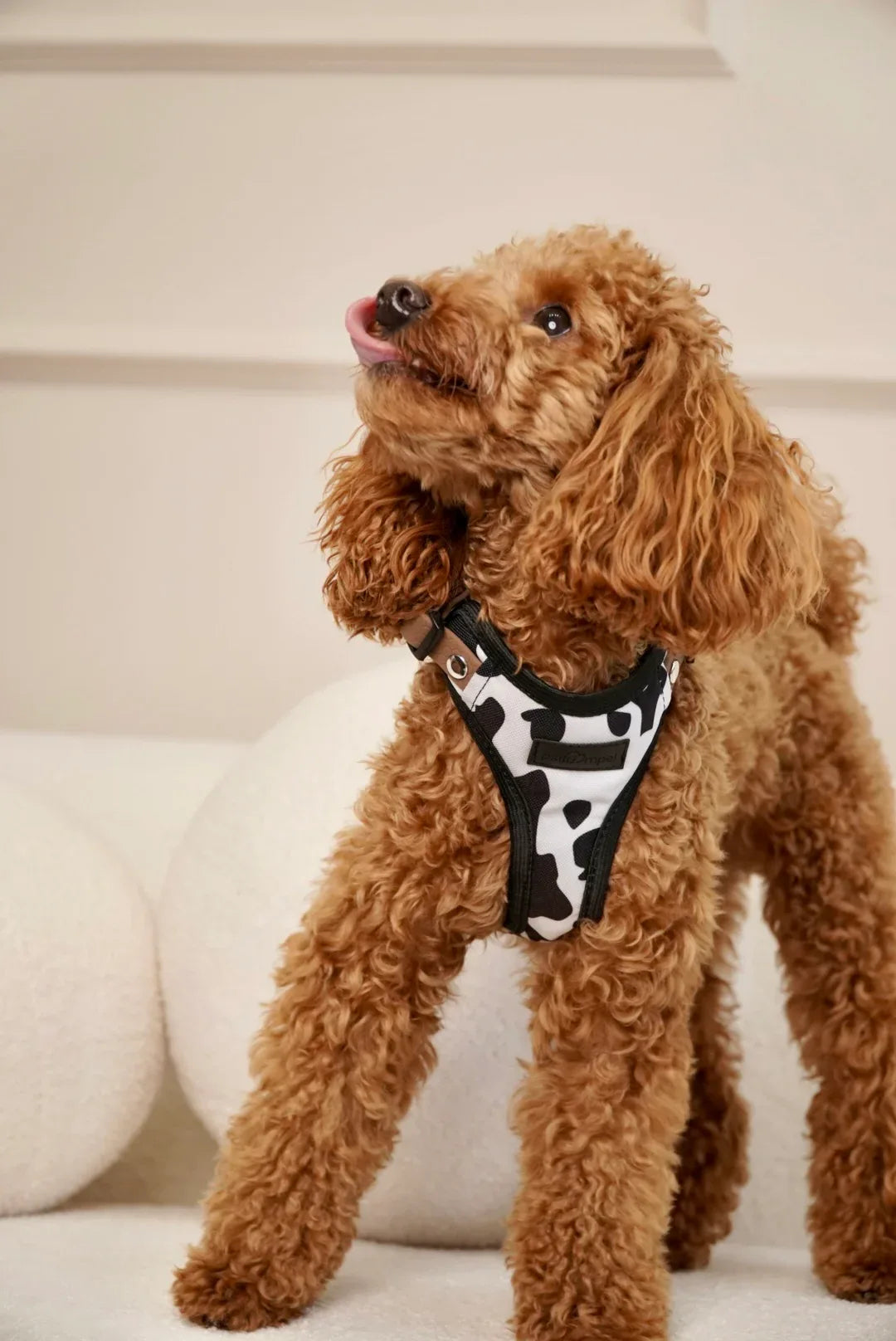 Bezuciskowe szelki guard - WILD - Psiumpel