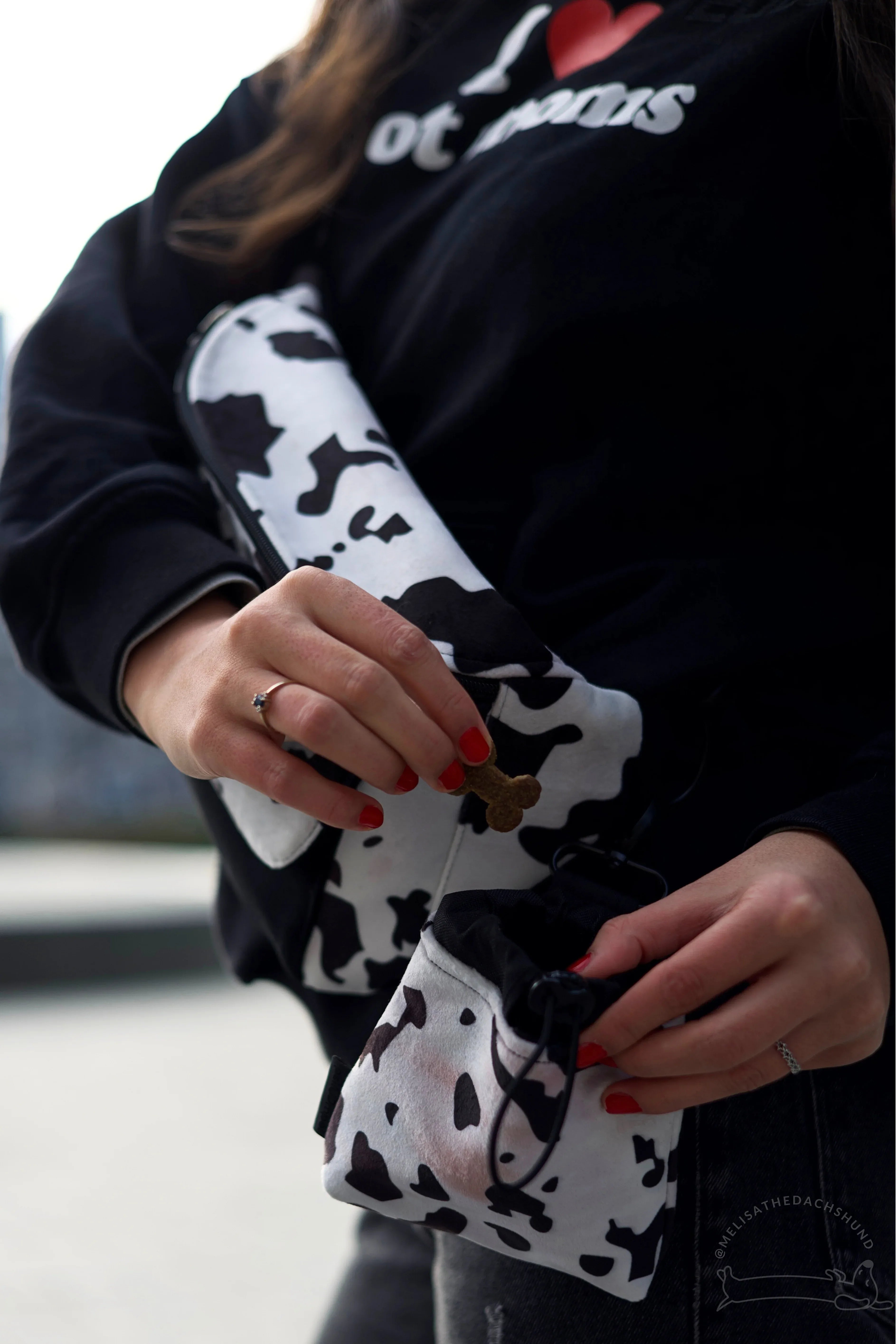 Saszetka na smaczki WILD - Psiumpel