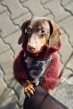 Bezuciskowe szelki guard - WILD