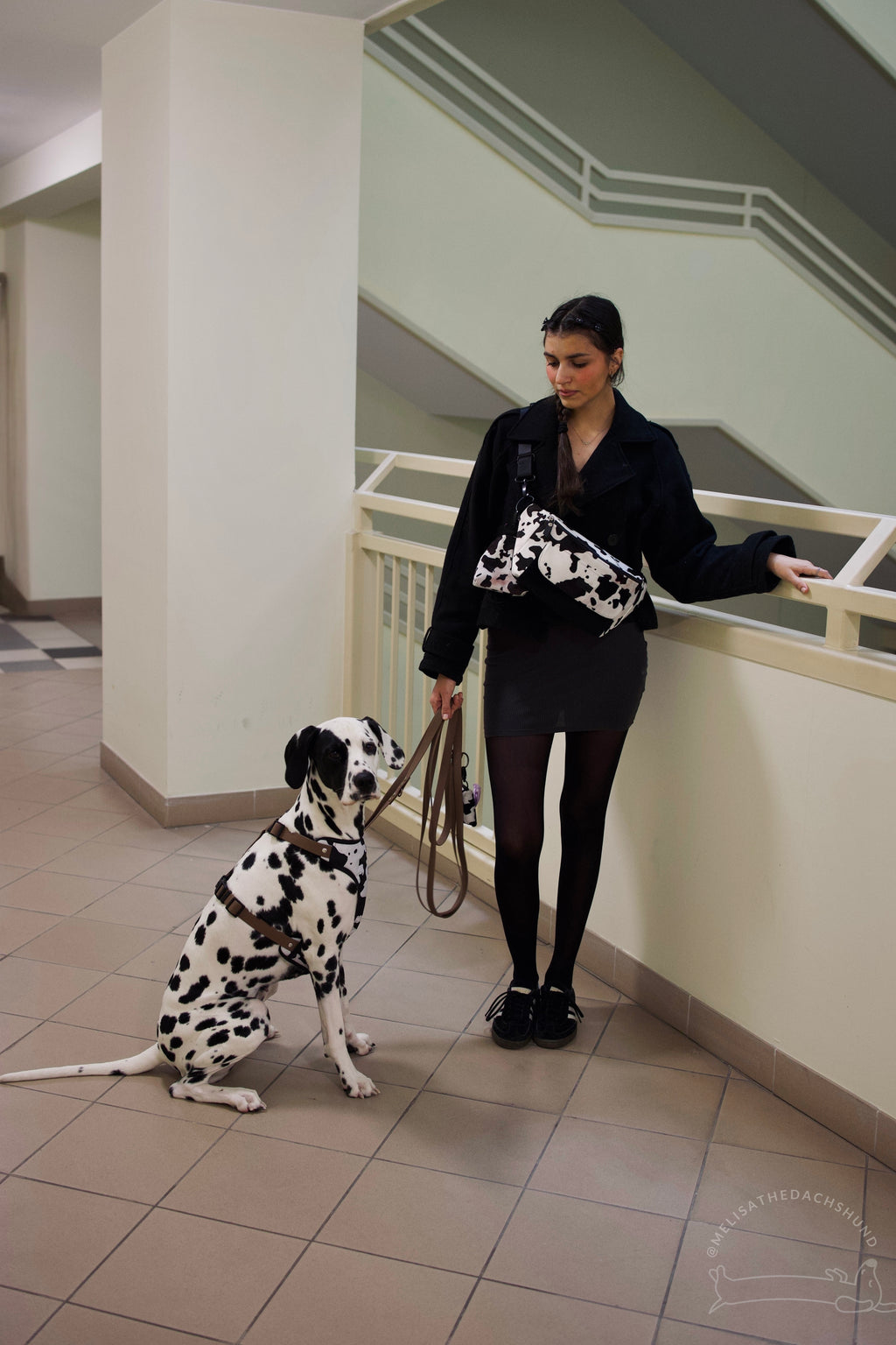 Bezuciskowe szelki guard - WILD