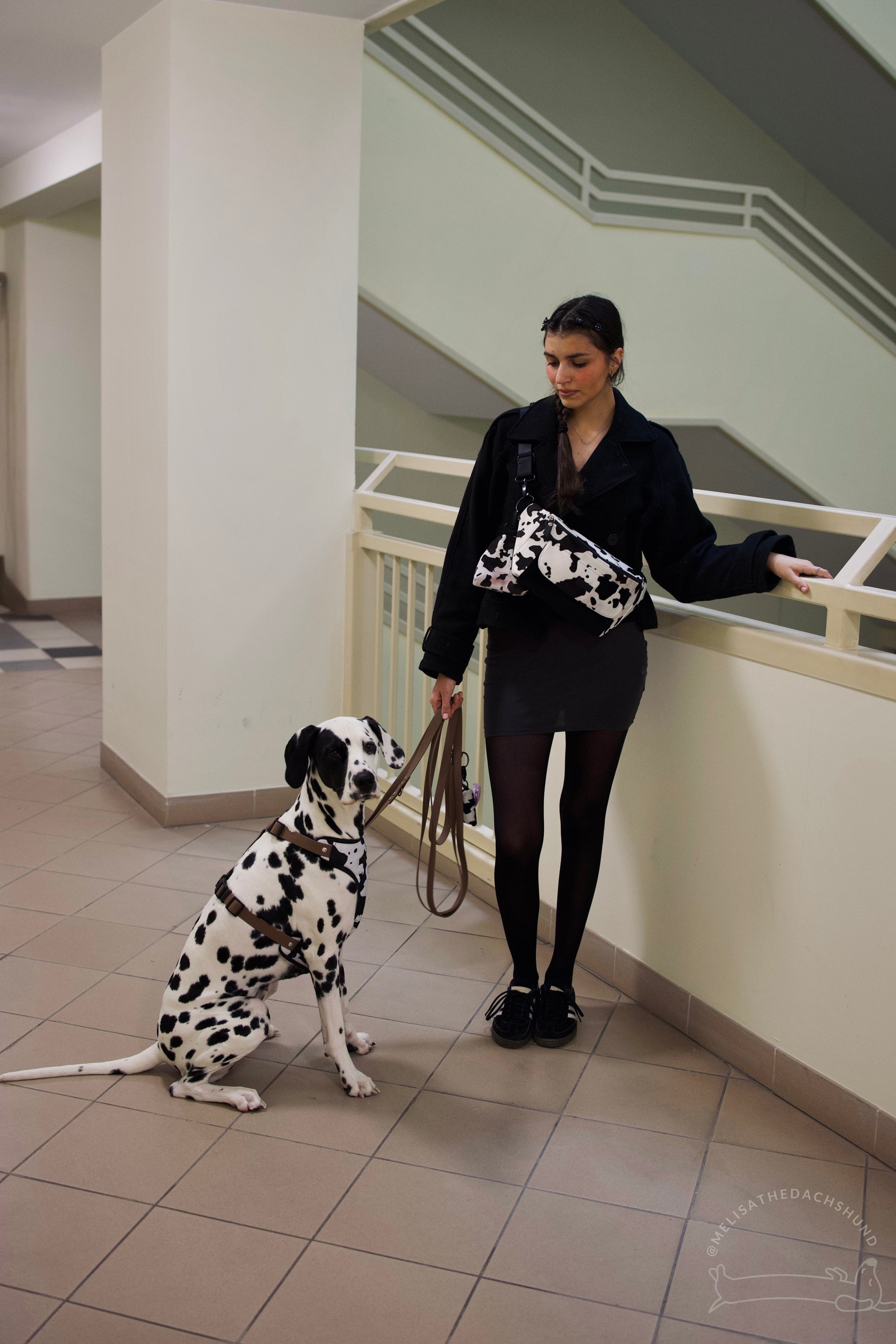 Bezuciskowe szelki guard - WILD