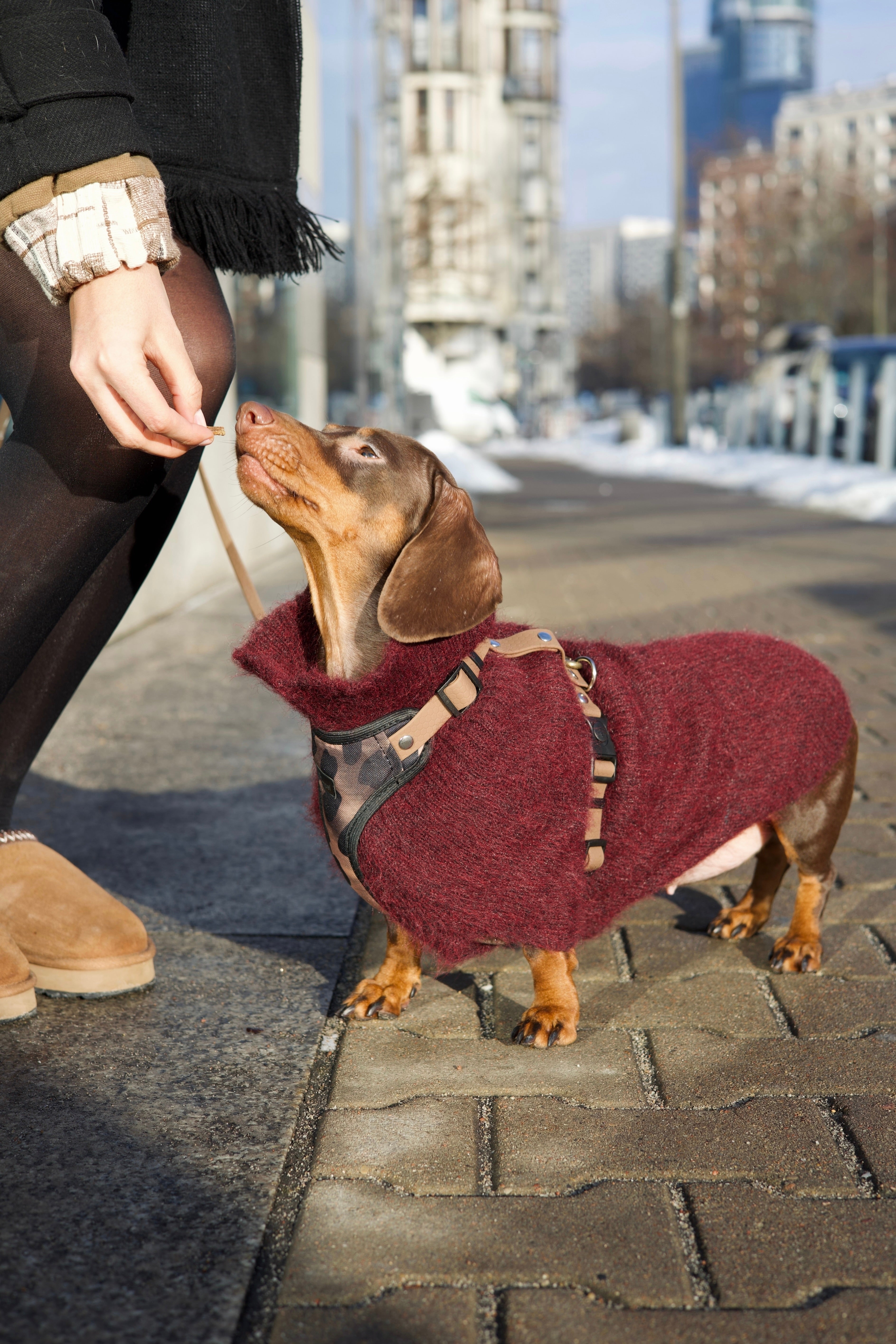 Bezuciskowe szelki guard - WILD