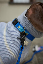 Wodoodporna obroża z klamrą