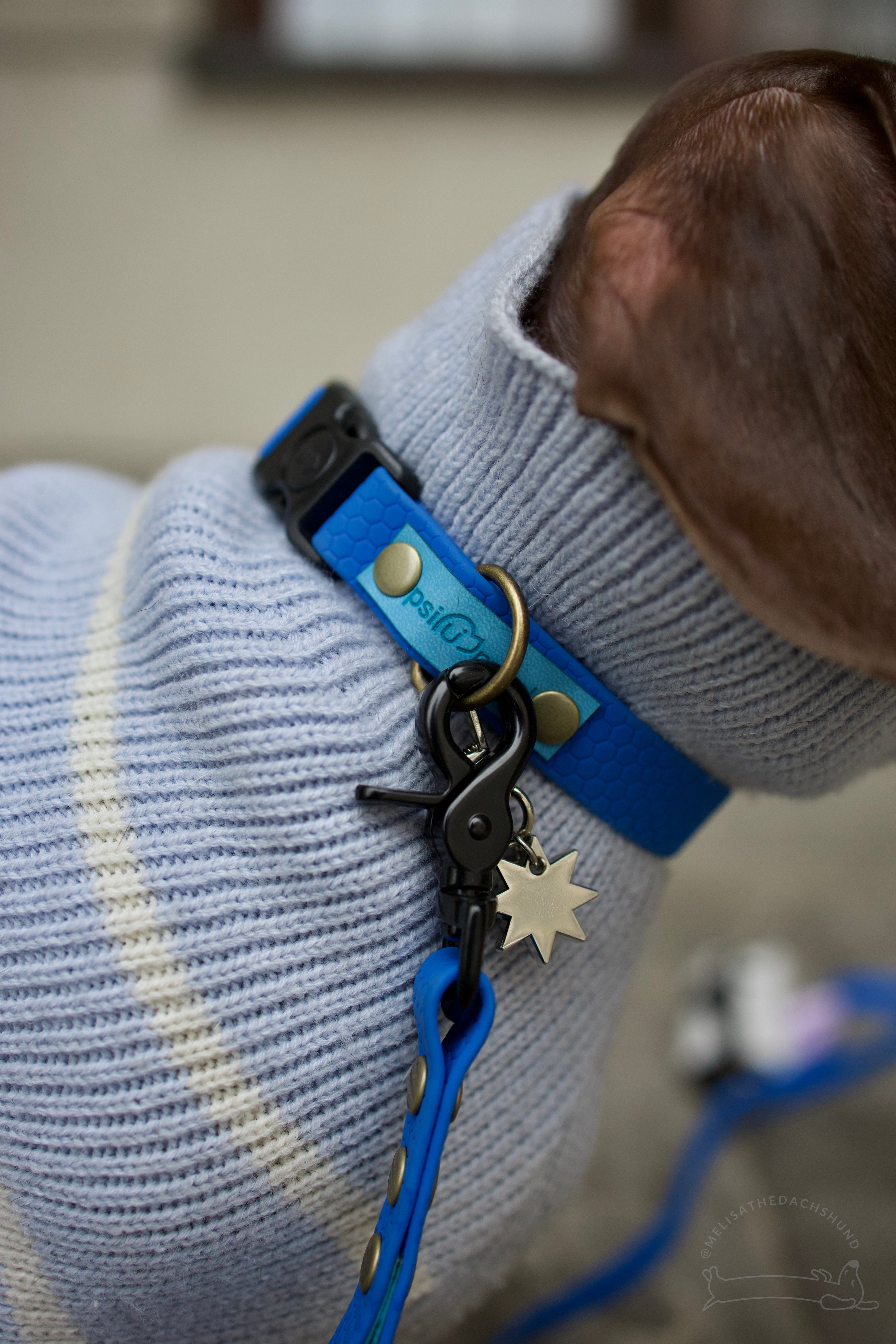 Wodoodporna obroża z klamrą