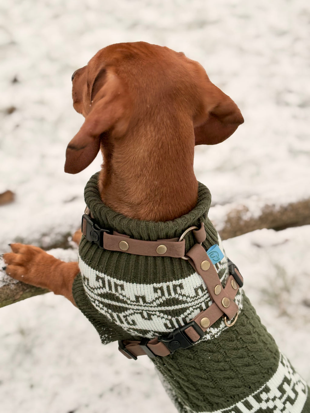 Wodoodporne szelki guard