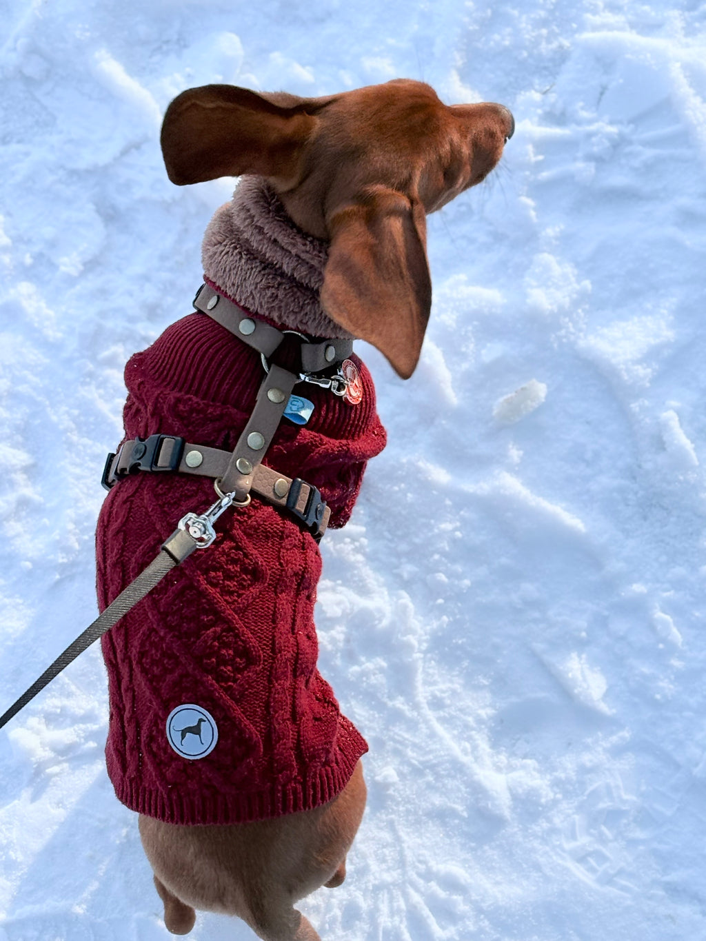 Wodoodporne szelki guard