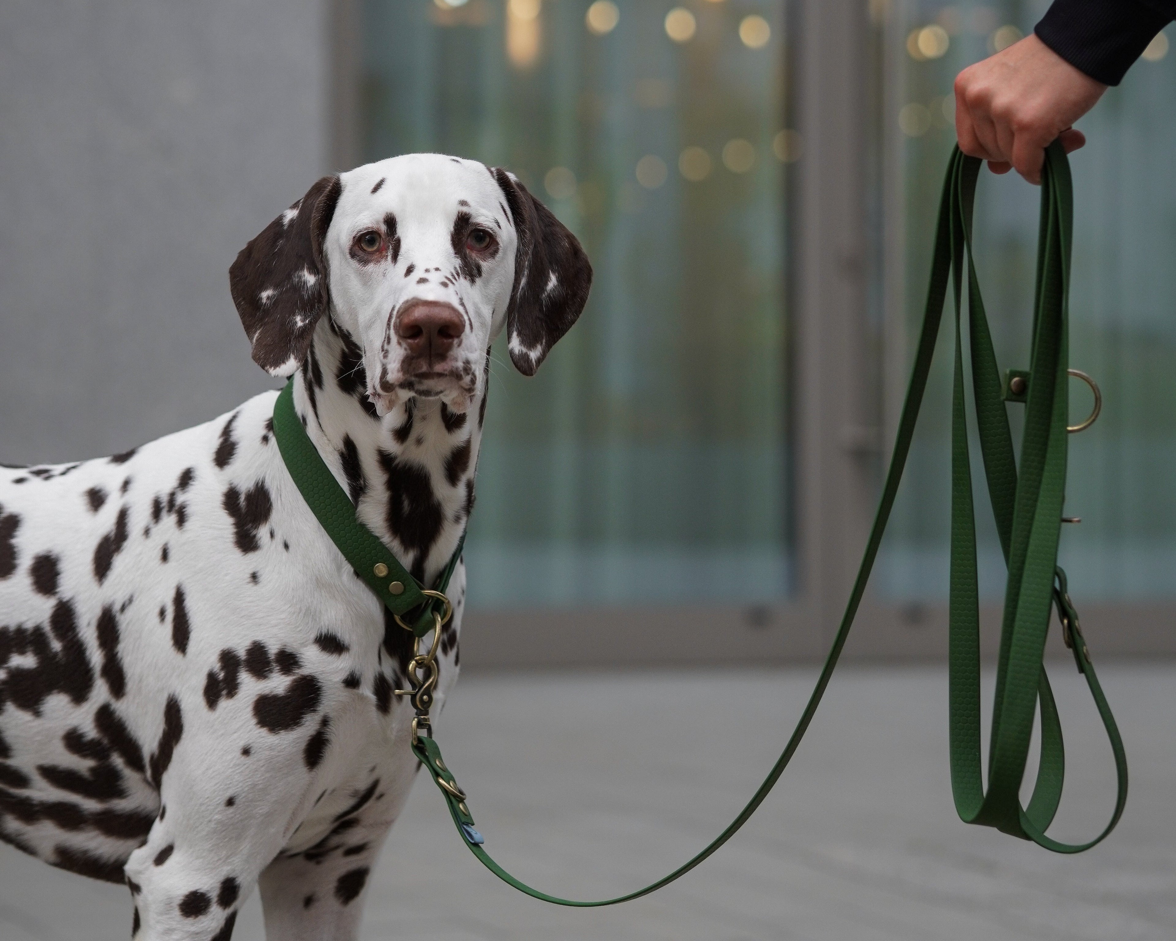 Psiumplowy zestaw: smycz przepinana i obroża | Psiumpel