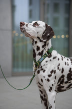 Wodoodporna obroża półzaciskowa - Psiumpel