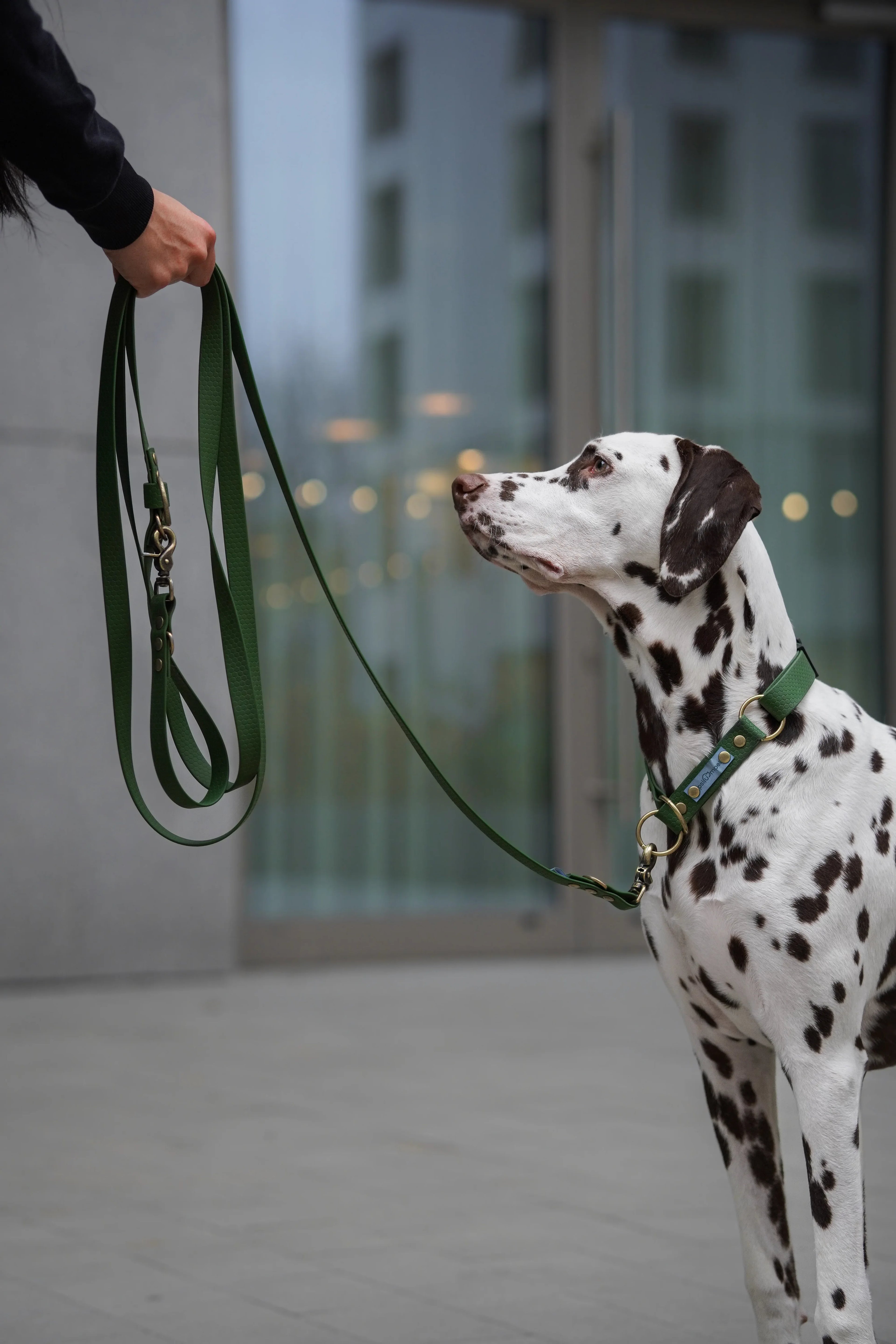 Smycz przepinana - Psiumpel